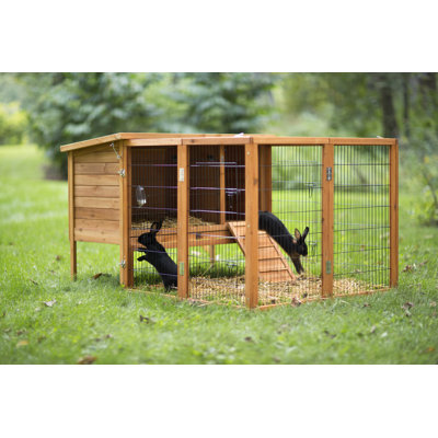 Parc pour lapin Frias