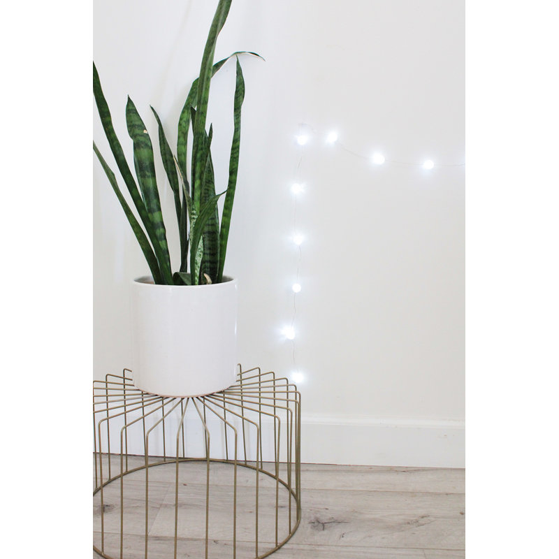 60.5'' String Lights