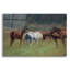 «Southern Horses» par Valtcho Tonov-101618537