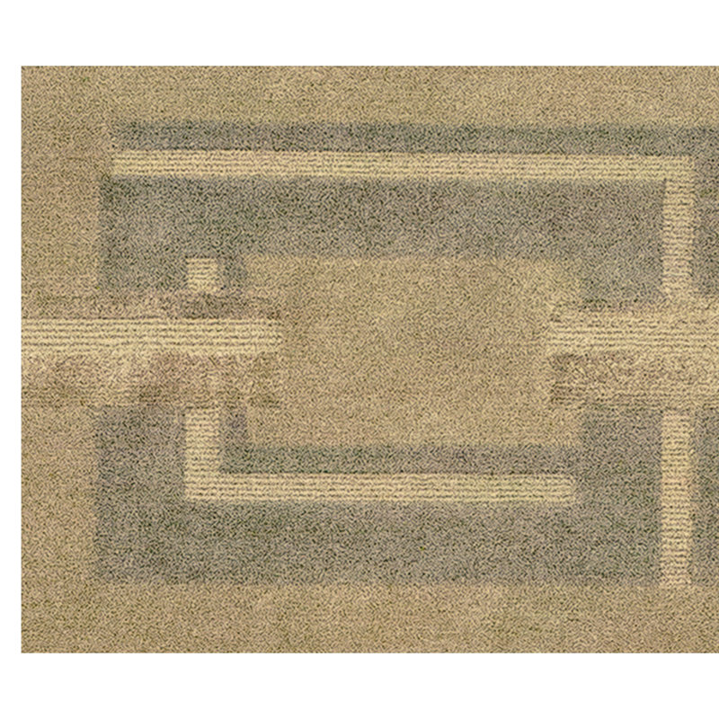 Geometric Area Rug in Tortilla/Gray, Rectangle 10' x 14'