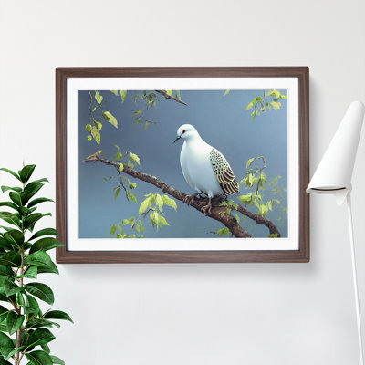 Luscious Dove Bird - Single Picture Frame Print