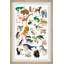 Olavo Wildlife Alphabet, reproduction encadrée-1240338583