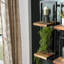Derik Teak Solid Wood Industrial Pipe Shelves