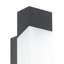 Gorzano Anthracite Integrated LED Outdoor Flush Mount