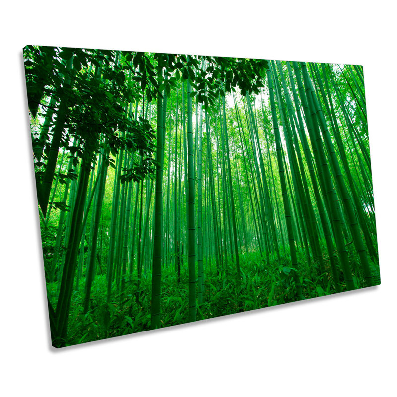 Green Bamboo Forest - Wrapped Canvas Print, 30.5cm H x 45.7cm W