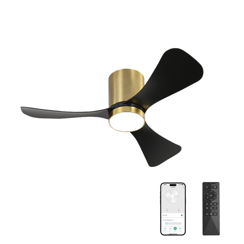 Apolino 42 Inch Outdoor Indoor Ceiling Fan with Light, Waterproof ABS Blades, Reversible DC Motor, 6-Speed Control, Dimmable 3 Color Temperature LED Light