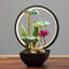 Fontaine de bureau lotus vert avec halo