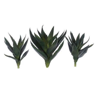 9 Plant