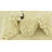 Julian Ivory Rug