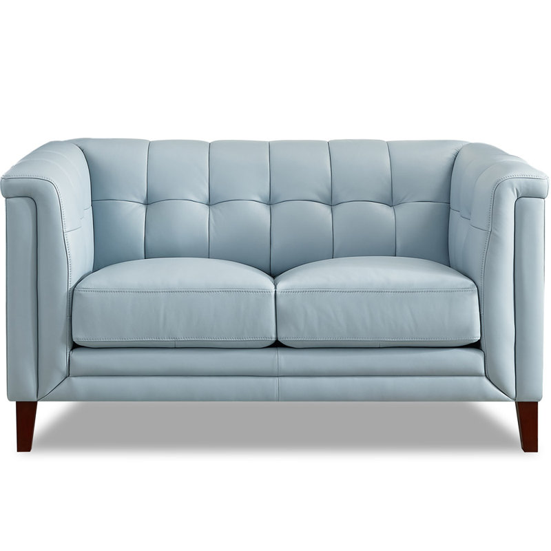 Colturo Gabia 61.5'' Genuine Leather Loveseat, Spa Blue