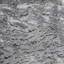 Animal Print Velvet | Empress Fabric-1656985864