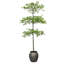 6.5' Artificial Shady Lady Tree