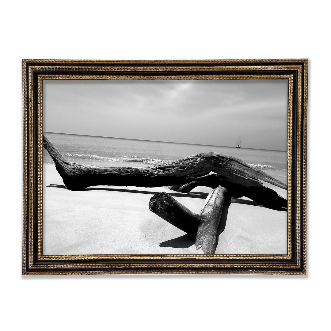 Gerahmtes Leinwandbild Ocean Drift Wood On The Shore B N W