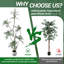 Hévéa artificiel en forme de S de 5 pi avec jardinière blanche, plantes artificielles d'intérieur artificielles, plantes tropicales artificielles, arbre à caoutchouc véritable pour la décoration de bureau à domicile