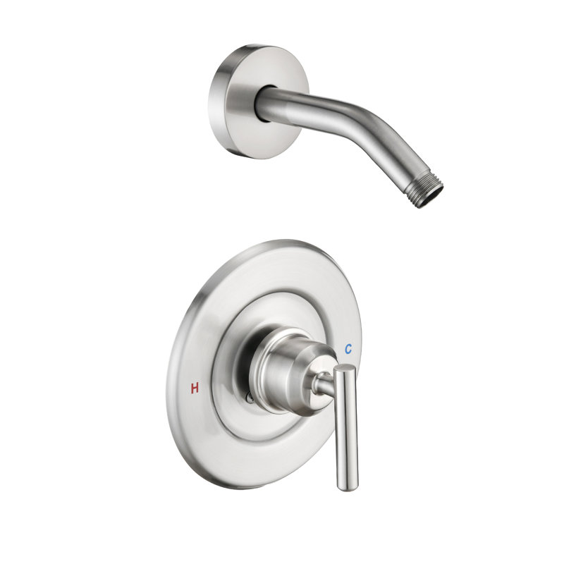 Remplacement de l'ensemble de garniture de robinet de douche, bras de douche, poignée de douche Moen, Nickel brossé