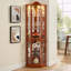 Corner Glass Cabinet with Carved Decoration and Adjustable Shelves