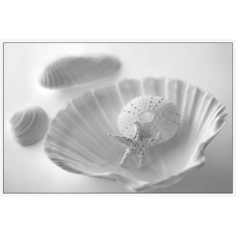 «Shell Cadeaux», reproduction de photo sur toile encadrée, H 12 po x l 18 po