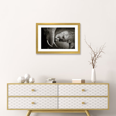 " Elephant Affection " by Johan Swanepoel