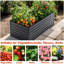 Boîte à fleurs 6X3x2 Ft-312263063