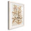 Parchment Coral I - ensemble de 3 reproductions de cadres photo-207375878-207375875