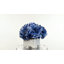 Mixed Hydrangeas In White Woven Planter-217356765