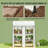 Portable Greenhouse,Spacious Mini Greenhouse-124615590
