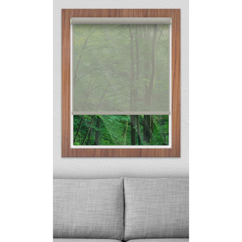 Semi Sheer Roller Shade, Taupe, 42" W x 48" L