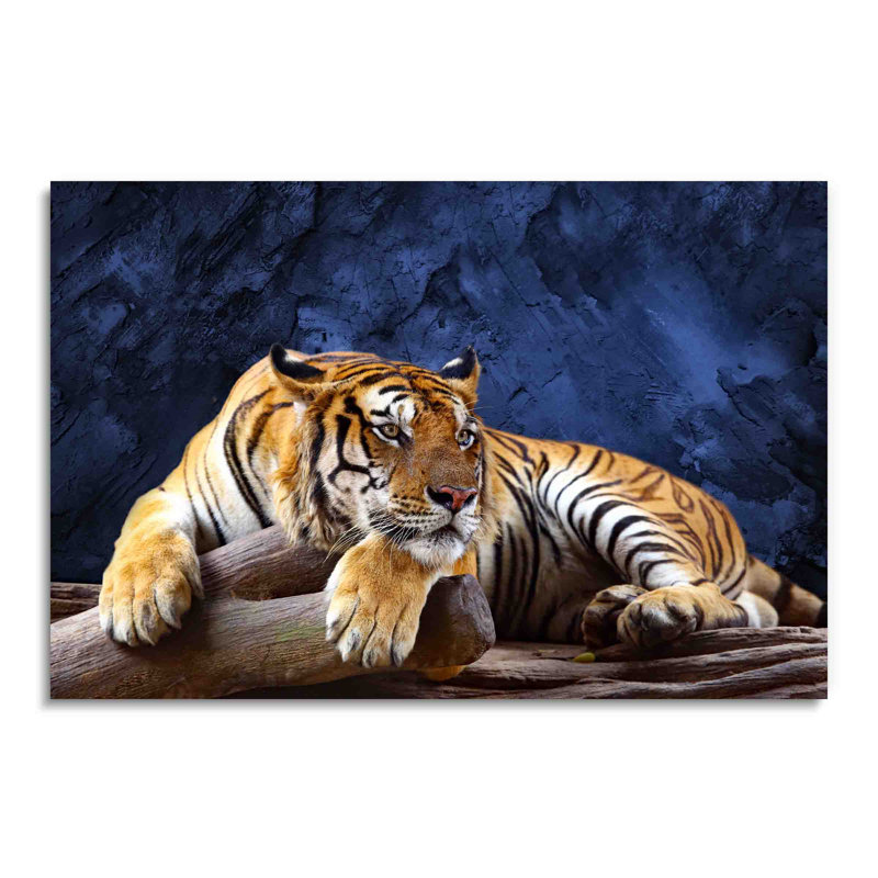 Tigre relaxant, séance photo sur la faune, décoration murale en plexiglas acrylique, Unframed, L 24 po x H 36 po