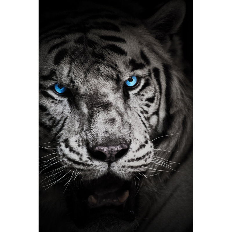 Tigre blanc sur toile Cidalino par Denisapro, H 18 po x l 12 po x P 1,25 po