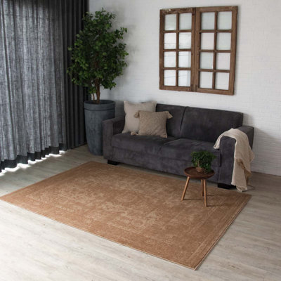 Anoka Oriental Hand Woven Area Rug