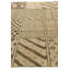 Tapis ivoire Ottilie