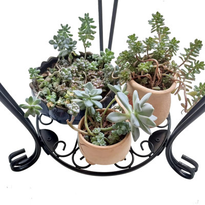 Plant Stands