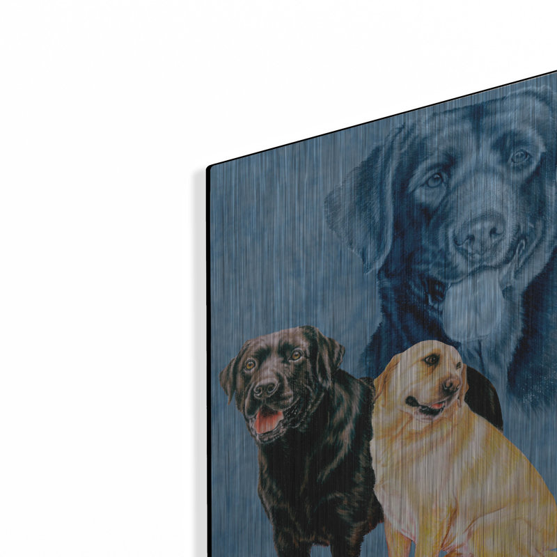 «Labrador Retriever» par Barbara Keith, H 16 po x l 12 po
