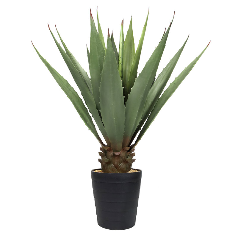 Fausse plante d'agave en pot 38 po Coles