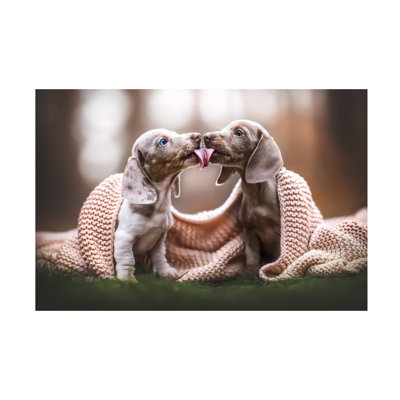 «Natalie Grosse Puppy Love», art sur toile