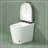 Compact Smart Toilet With Bidet Seat Built-In, Modern Tankless Design With 23.25" Depth, Auto Open Auto Flush, Heated Seat, Instant Warm Air Dryer For Small Bathrooms, White With Black Panel