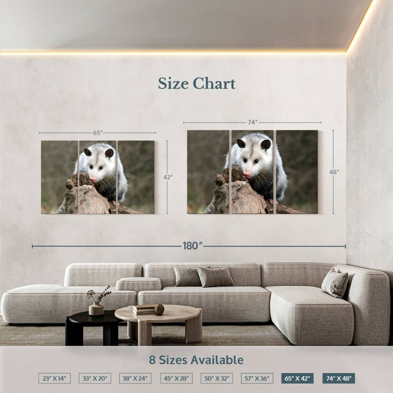 Brampt Opossum, 42" H x 65" W