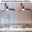Ventilateur de plafond moderne de 52 pouces avec moteur à courant continu réversible à télécommande à 3 pales en bois massif à intensité variable