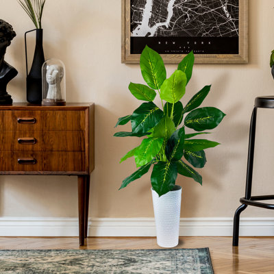 48 " H Faux Dumb Cane Plant