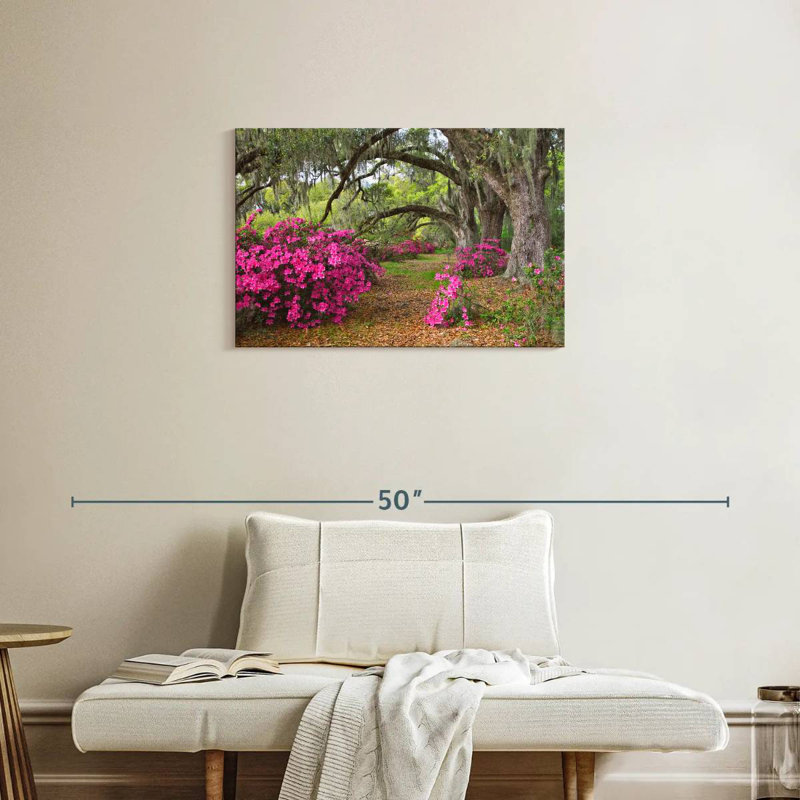 Harnek Azaleas And Oak Tree