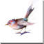 «Pretty Bird», impression sur toile tendue-27658935