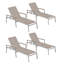 Travira Outdoor Chaise Lounge-1919204423-1919204431-1919366335