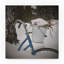 « looking forward », reproduction de photo sur toile tendue-25678626