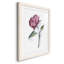 Watercolor Floral Contour III Premium encadré mat - prêt à être accroché-670108977-670108983