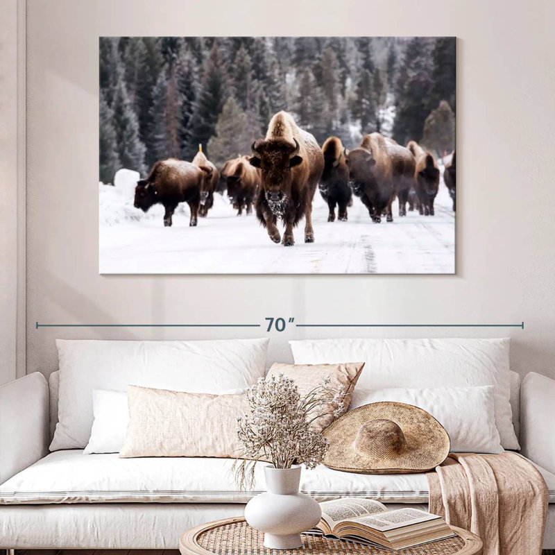 Bisons d'hiver, H 34 po x l 51 po