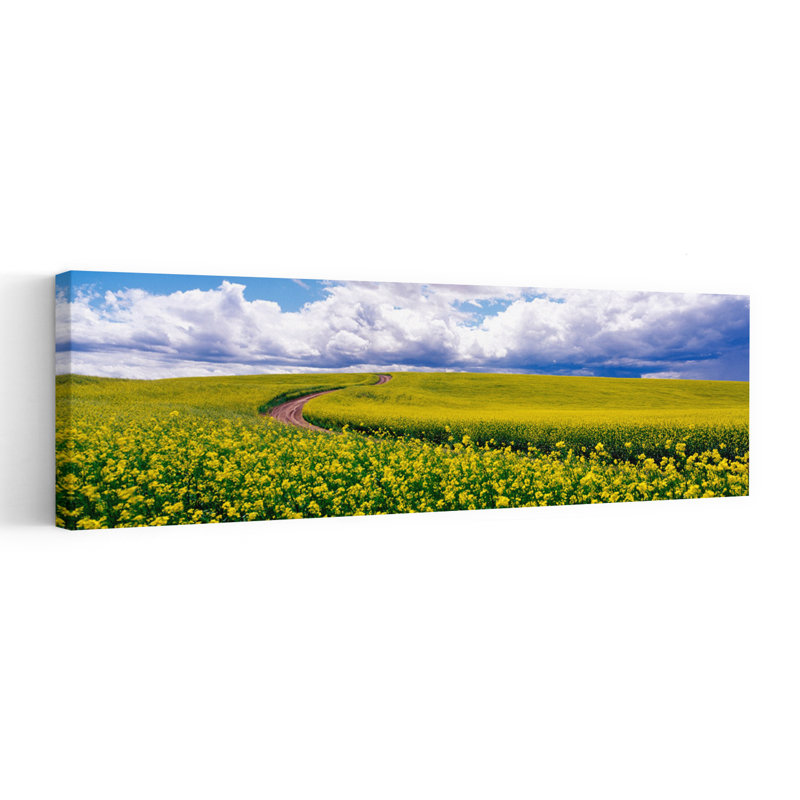 Road Canola Field Washington State USA by Terry Eggers - Wrapped Canvas Panoramic Print, 40.64 cm H x 121.92 cm W