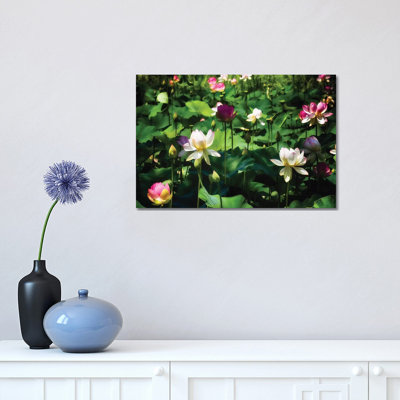 Blooming Lotus Flowers 1 Piece Wrapped Canvas Wall Art