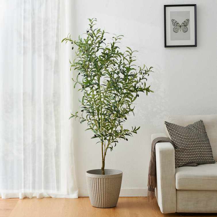 Amee 70" H Faux Olive Tree in Pot