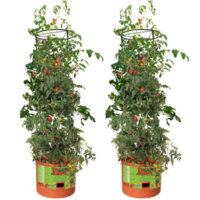 Accessoire décoratif de jardin en treillis pour pot de fleurs Hydrofarm GCTB