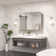 Gervon Rectangle Recessed or Surface Medicine Cabinet with Shelves and Mirror